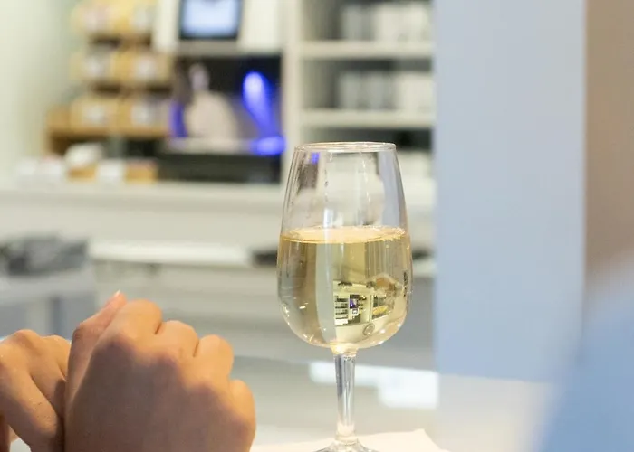 酒店 波尔图盖亚公园酒店 3*